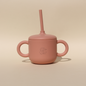 2in1 Straw Cup Apricot